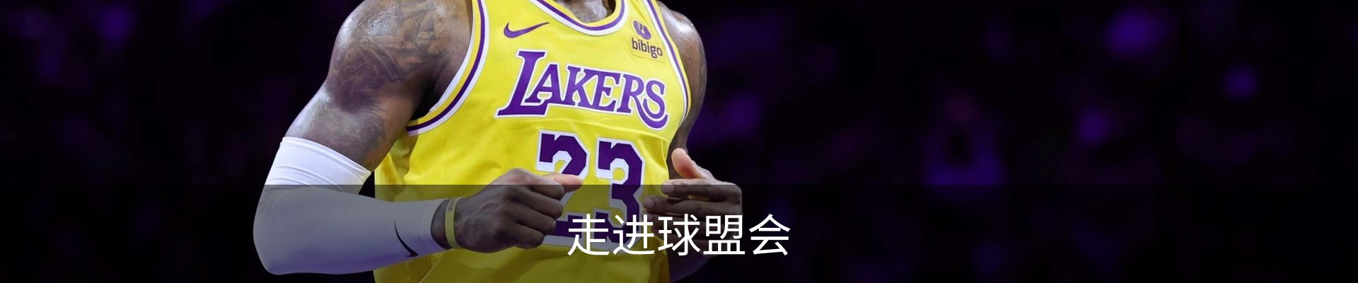 走进球盟会